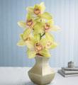 The FTD� Bosses' Day Bouquet