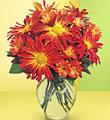 The FTD� Fireburst � Bouquet