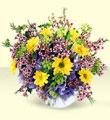 The FTD� Fresh as a Daisy � Bouquet