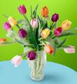 The FTD� Carnival� Bouquet