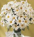 The FTD� Daisy Vase
