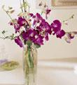 The FTD� Pacific Paradise� Arrangement