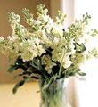 The FTD� White Delight� Bouquet