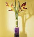 The FTD� Tropic Sun� Bouquet