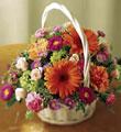 The FTD� Floral Burst � Arrangement