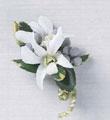 The FTD� Pure Heaven� Boutonniere