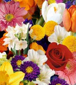 The FTD? Florist Designed Bouquet