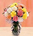 Carnation Bouquet with Vase