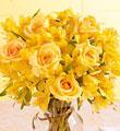 Citrus Burst (6) Bouquet - Wrapped