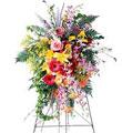 The FTD� All Things Bright � Spray