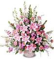 The FTD� Leaf & Petals� Basket