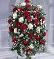 The FTD� Crimson & White� Standing Spray