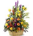 The FTD� Field of Dreams � Arrangement