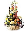 The FTD� Sunshine Splendor � Arrangement