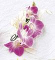 The FTD� Breathless� Corsage