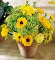 The FTD� Botanica� Centerpiece