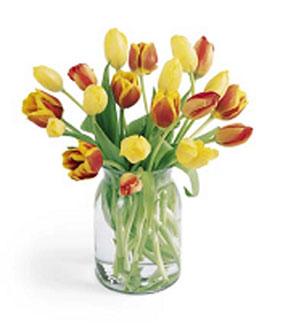 Tulip 20 stem Assorted Bouquet/ with vase