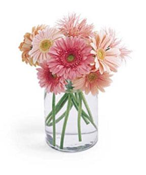 Gerbera 10 Stem Mono Bouquet / with vase