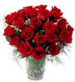 Rose Two Dozen Bouquet, Boxed
