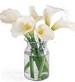 Calla Lily 6 Stem Bouquet (Open Cut) / with vase