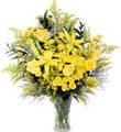 Yellow Mix 23 stem Bouquet / with vase