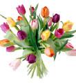 20 Tulip Bouquet with Vase