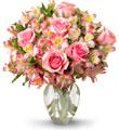 Dreamland Pink 8 Rose Bouquet - Deluxe with Vase
