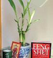 Feng Shui Kit