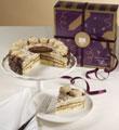 Tiramisu Cake