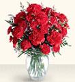 Carnation Bouquet