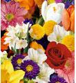 FTD� Florist Designed Wrapped Bouquet