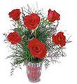Half Dozen Roses