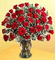 3 Dozen Roses