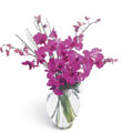 The FTD� Morning Joy � Bouquet