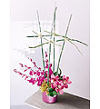 The FTD� Poetic Boxed� Bouquet