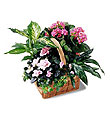 The FTD� Pink Assortment