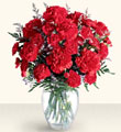 Carnation Bouquet