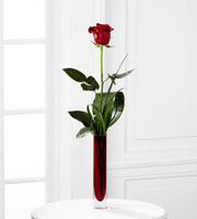 Terra Flora Flowers of Denver, The FTD� Deeply Devoted� Bouquet