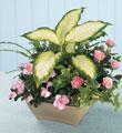 The FTD� Garden of Grace� Planter