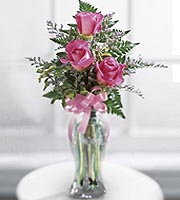 Terra Flora, Florist, Florist in, Florists, Flowers in, Flowers, floral, floral in, Flower Shop, flower shop in, Flower Delivery, Denver, Englewood, cherry hills, greenwood village, cherry creek