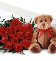 1 Dozen Red Roses with Bear- wrapped