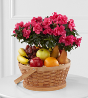 funeral flowers, sympathy flowers, The FTD� Encircling Grace� Fruit & Plant Basket
