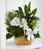 funeral flowers, sympathy flowers, The FTD� Peace & Serenity� Dishgarden