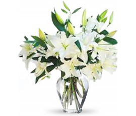 White Oriental Casablanca Lily Bouquet
