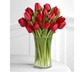 15 Red Tulips in a Glass Vase