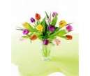 15 Multi-Colored Tulips in a Clear Glass Vase