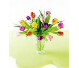 15 Multi-Colored Tulips in a Clear Glass Vase